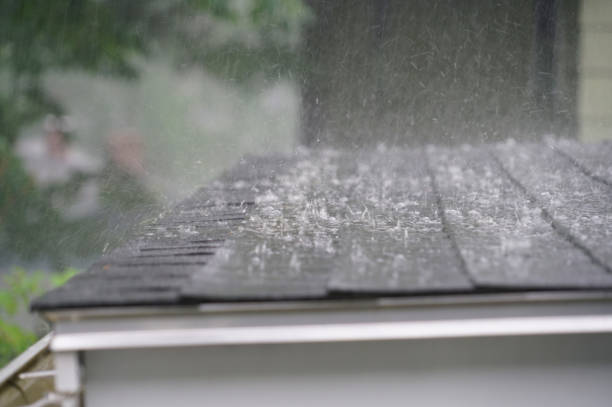 Best Rubber Roofing (EPDM, TPO)  in Port Townsend, WA